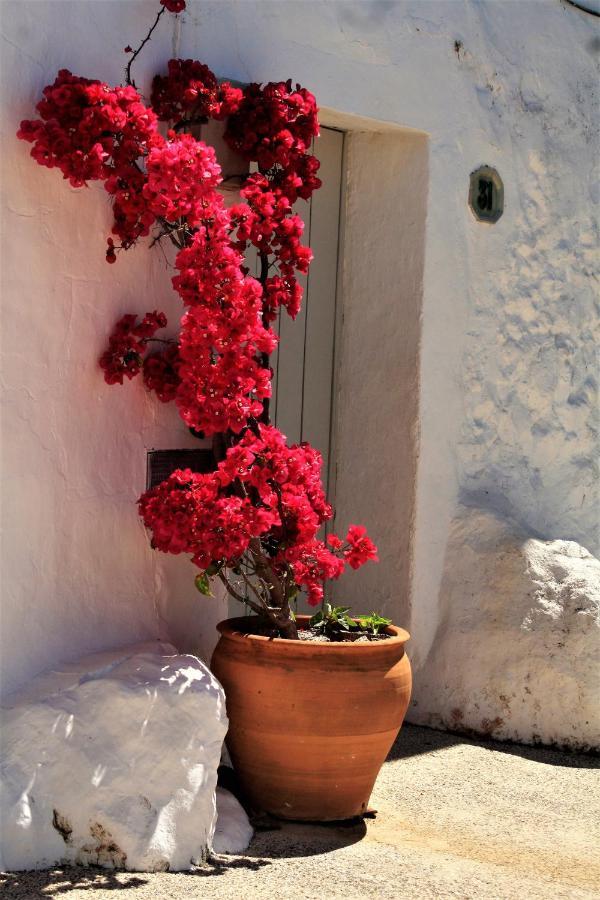 Hostal Moncada Gaucin Luaran gambar