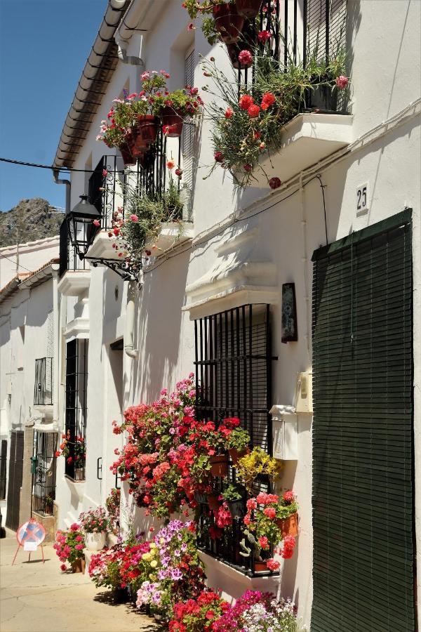 Hostal Moncada Gaucin Luaran gambar
